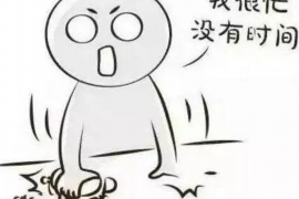 和硕为什么选择专业追讨公司来处理您的债务纠纷？